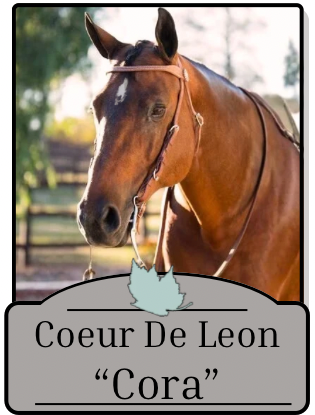 Cora