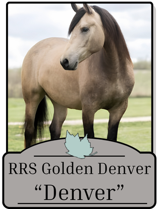 Denver