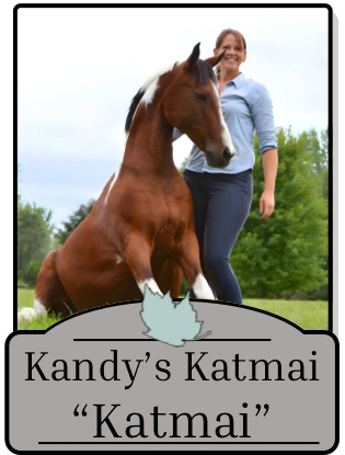 Katmai