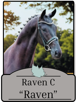 Raven