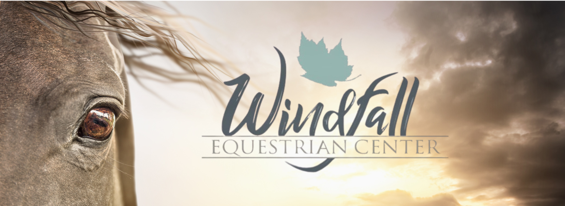 Windfall Equestrian Center