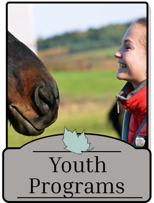 Equine Assisted Therapy for At-Risk Youth