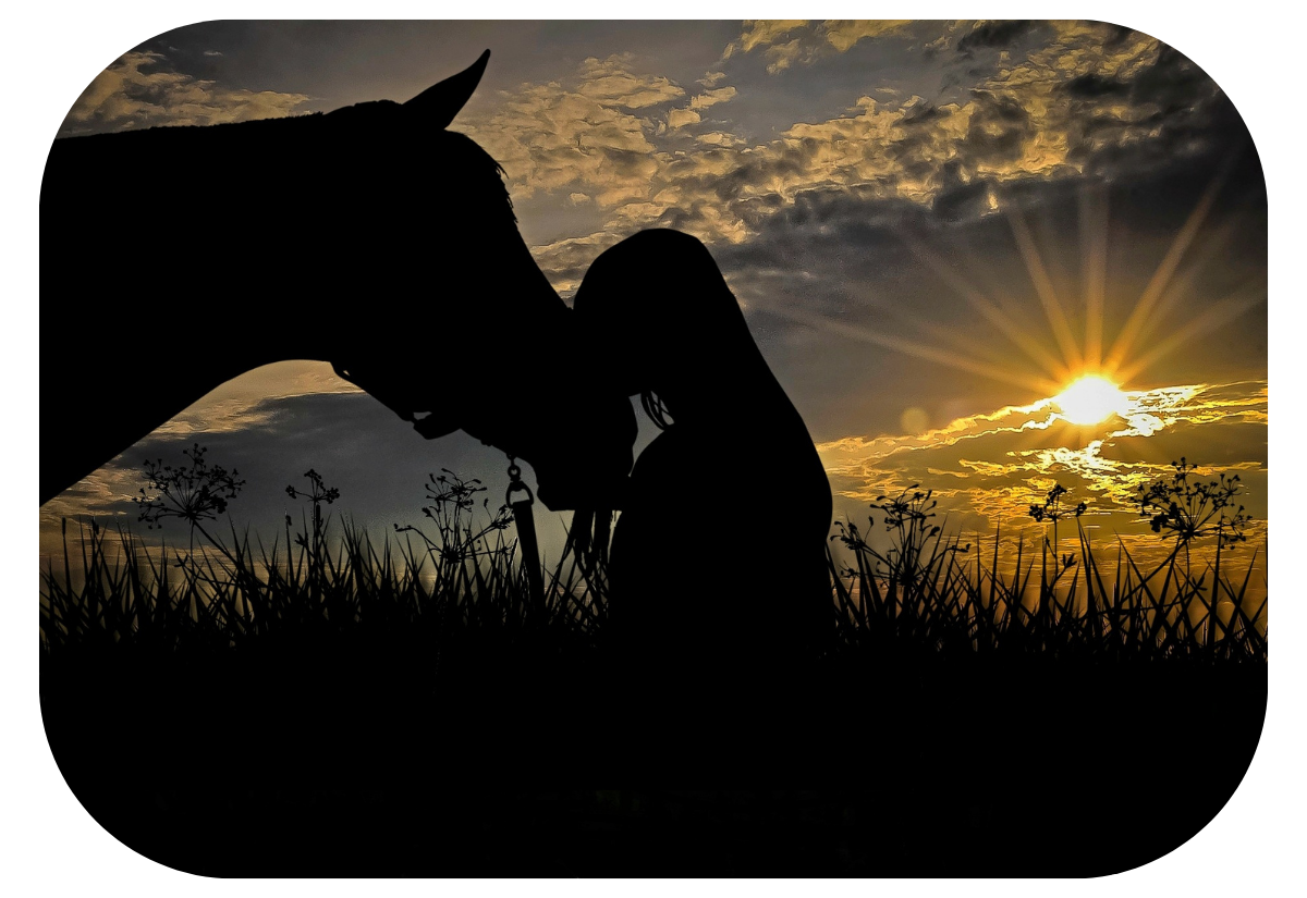 Horse leasing at Windfall Equestrian Center