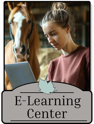 E-Learning Center
