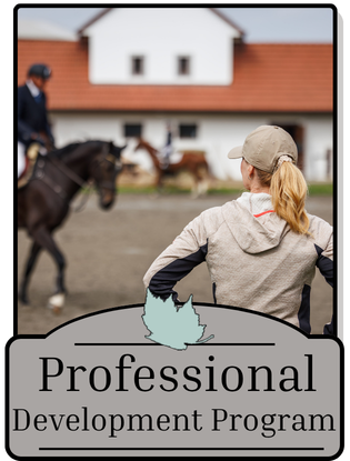Professional Development Program