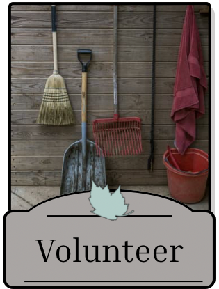 Volunteer
