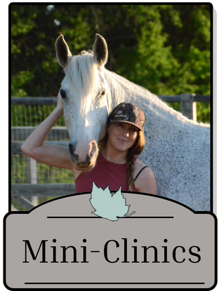 Mini-Clinics