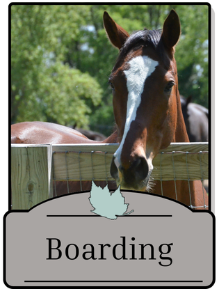 Boarding
