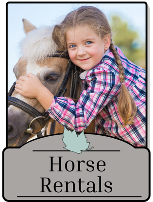 Horse Rentals