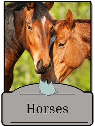 Horses