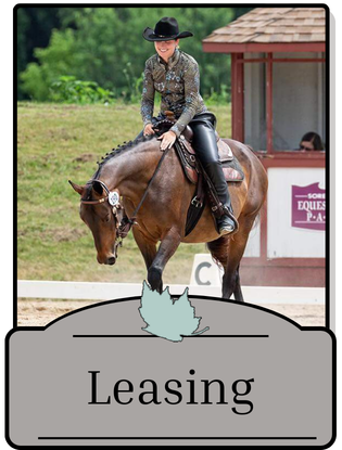 Leasing