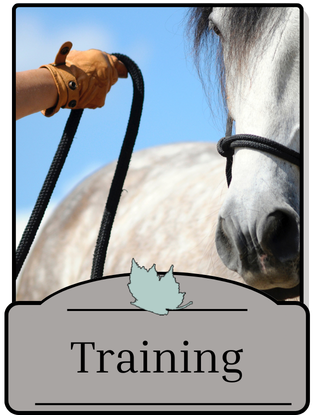 Training